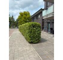 Provisionsfreie Eigentumswohnungen in Münster Gievenbeck