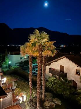 Foto - andere zur Miete in Bechtolsheim