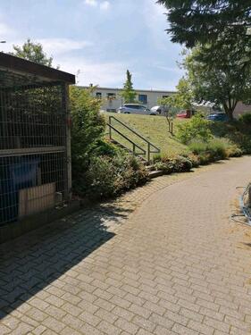 Foto - 2 Zimmer Etagenwohnung in Mönchengladbach