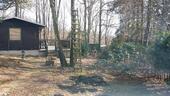 Foto - Ruhig. Eigentums -Gartengrundst. Wochenendhaus in DD-Pappritz