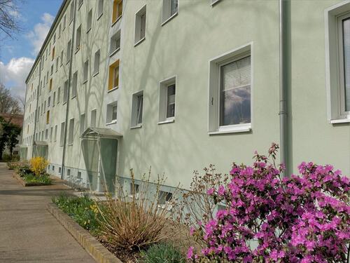 Foto - Lebens- und liebeswerte altersgerechte Wohnung mit gemütlicher Wohnküche.