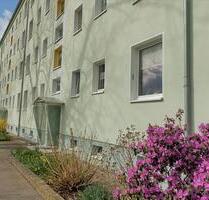 Lebens- und liebeswerte altersgerechte Wohnung mit gemütlicher Wohnküche. - Wurzen