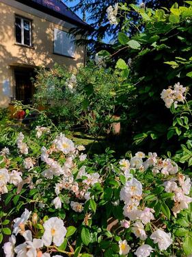 Foto - Einfamilienhaus in Konstanz