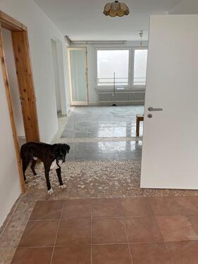 Foto - Helle 2 - 2,5 Zimmer Wohnung zu vermieten