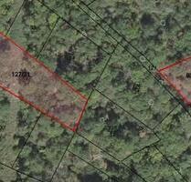 Große Naturschutzfläche in Kaub (ALGV 2-2)