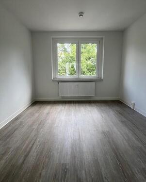 Foto - Etagenwohnung in Dresden