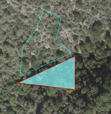 Foto - Naturschutzfläche in Kaub (ALGV 2-1)