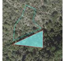 Naturschutzfläche in Kaub (ALGV 2-1)