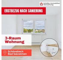 Einziehen & wohlfühlen: Frisch sanierte 3-Zimmer-Wohnung in Bad Salzelmen - Schönebeck (Elbe)
