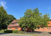 Foto - Ländliches Wohnhaus Resthof, idyllischer Lage, Glasfaseranschl.