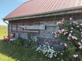 Foto - Bauernhaus, Landhaus in Ducherow