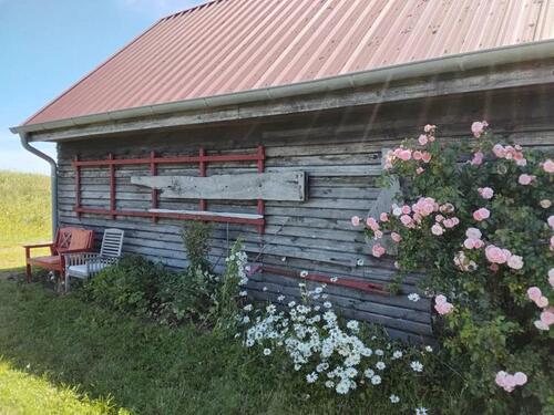 Foto - Bauernhaus, Landhaus in Ducherow