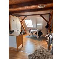 Möbliertes Loft-Appartement (1,5 Zi., ca. 30 m²) mit Top-Ausblick - Bamberg Bamberg-Ost