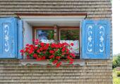 Foto - andere in Wangen im Allgäu zur Miete