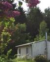 Foto - 3 Zimmer Einfamilienhaus in Großschirma