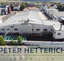 Gewerbehalle in Bad NeustadtSalz mit ca. 323 m² Nutzfläche zu vermieten - Bad Neustadt an der Saale