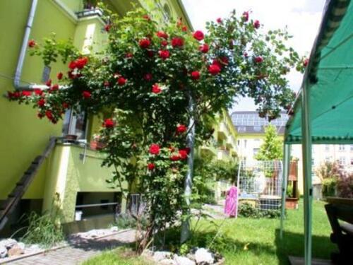 Foto - Etagenwohnung in Dortmund zur Miete