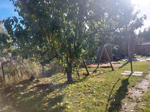 Foto - Grundstück zur Miete in Görlitz