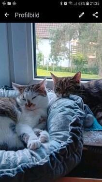 Foto - Wir 62+60j. su. ab Aug.2026 eine Whg. ab 2 Zi. in FO. o. Umgebung