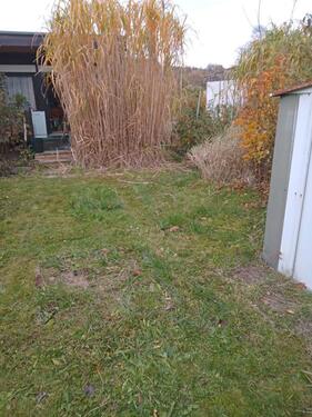 Foto - Grundstück zur Miete in Zittau