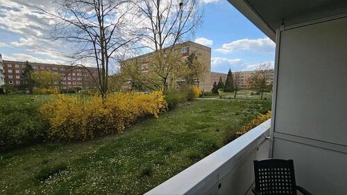 Foto - Hochparterre in Halle (Saale) zur Miete