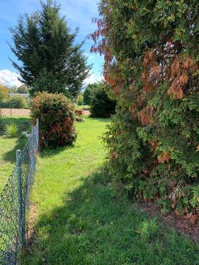 Foto - 3 Zimmer Dachgeschoßwohnung zur Miete in Elsenfeld