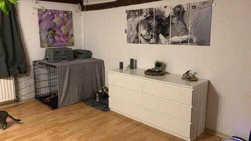 Foto - 3 Zimmer Dachgeschoßwohnung in Morschen