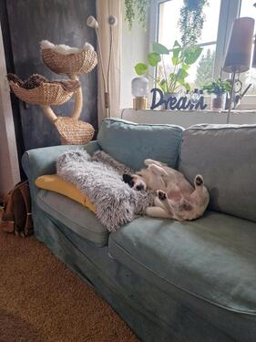 Foto - Wohnung mit Garten in Halver ab Sommer