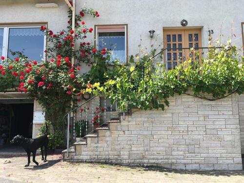 Foto - 9 Zimmer Einfamilienhaus zum Kaufen in Vöhl