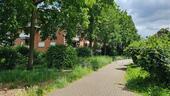 Foto - Gemütliches Appartement mit Grünblick