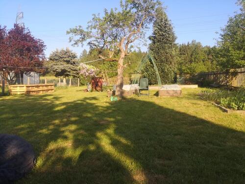 Foto - Obstgarten, Wohnmobilstellplatz, Erhohlungsgarten