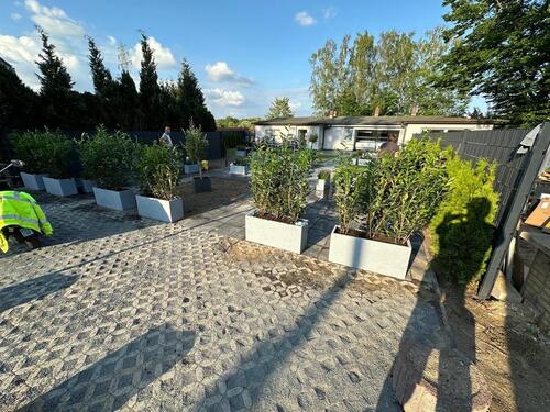 Foto - andere in Hamburg zur Miete