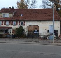 Bauernhaus mit großem Grundstück und Quelle neben dem Haus - Sonnenbühl
