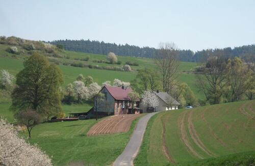 Foto - 