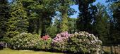 Foto - Charmantes Einfamilienhaus mit traumhaftem Garten am Waldrand
