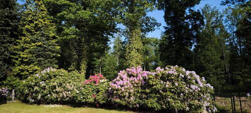 Foto - Charmantes Einfamilienhaus mit traumhaftem Garten am Waldrand