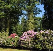 Charmantes Einfamilienhaus mit traumhaftem Garten am Waldrand - Visselhövede