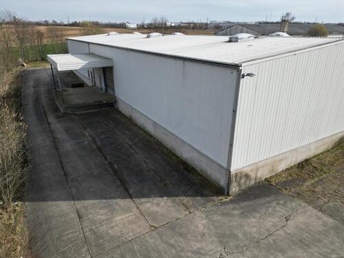 Foto - andere in Dresden