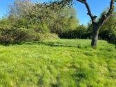 Foto - Garten in Springe-Eldagsen zu verpachten – ca. 1.049qm