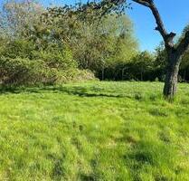 Garten in Springe-Eldagsen zu verpachten – ca. 1.049qm