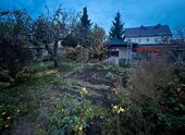 Foto - Kleingarten zur Pacht in Leubnitz- Neuostra Räcknitz Plauen