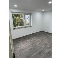 Renovierte 2 Zimmer Wohnung zur Miete in Mosbach