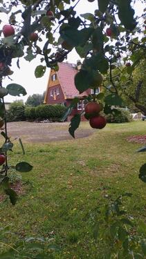 Foto - Einfamilienhaus in Kamenz zum Kaufen