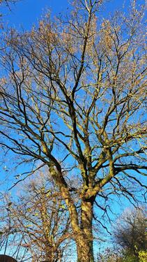 Foto - Haus kaufen - 450.000,00 EUR Kaufpreis,