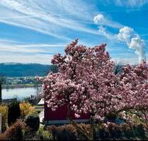 4-Raum-Wohnung mit Rheinblick in Waldshut ab 01.12.2025 frei - Weilheim
