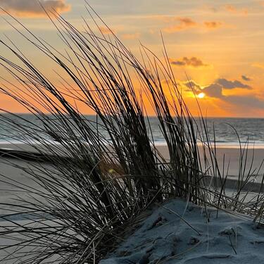 Foto - andere in Augustdorf