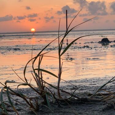 Foto - andere in Augustdorf zur Miete