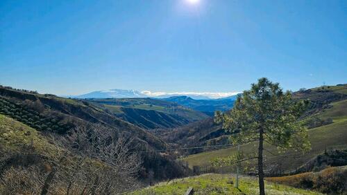 Foto - 5 Zimmer Bauernhaus, Landhaus zum Kaufen in Ludwigshafen am Rhein