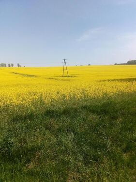 Foto - Ackerland Acker Magdeburger Börde Bode