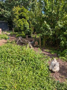 Foto - 